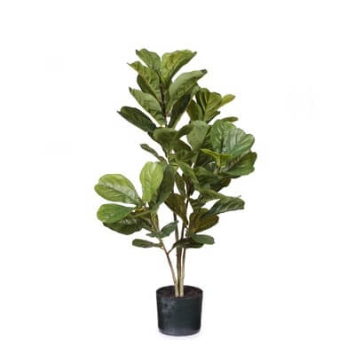FI6420-fiddle-leaf-plant-98cm