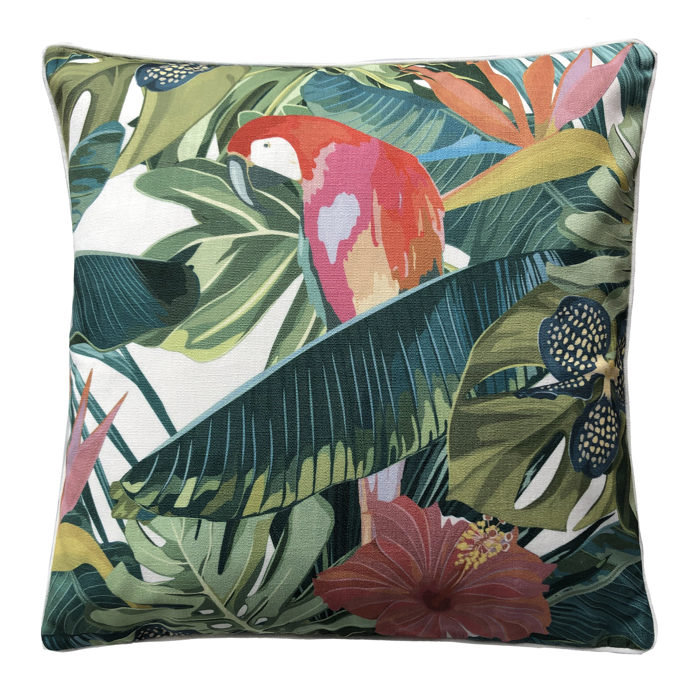 COCOON PARROT MULTI