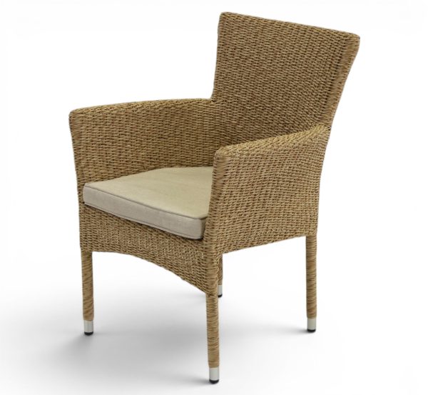 Beach Chair